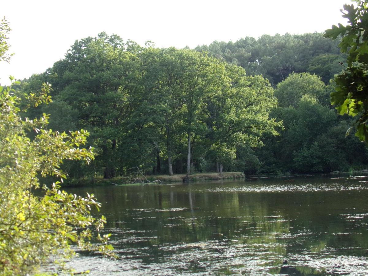 La Roulotte Chainoux Bains-sur-Oust エクステリア 写真